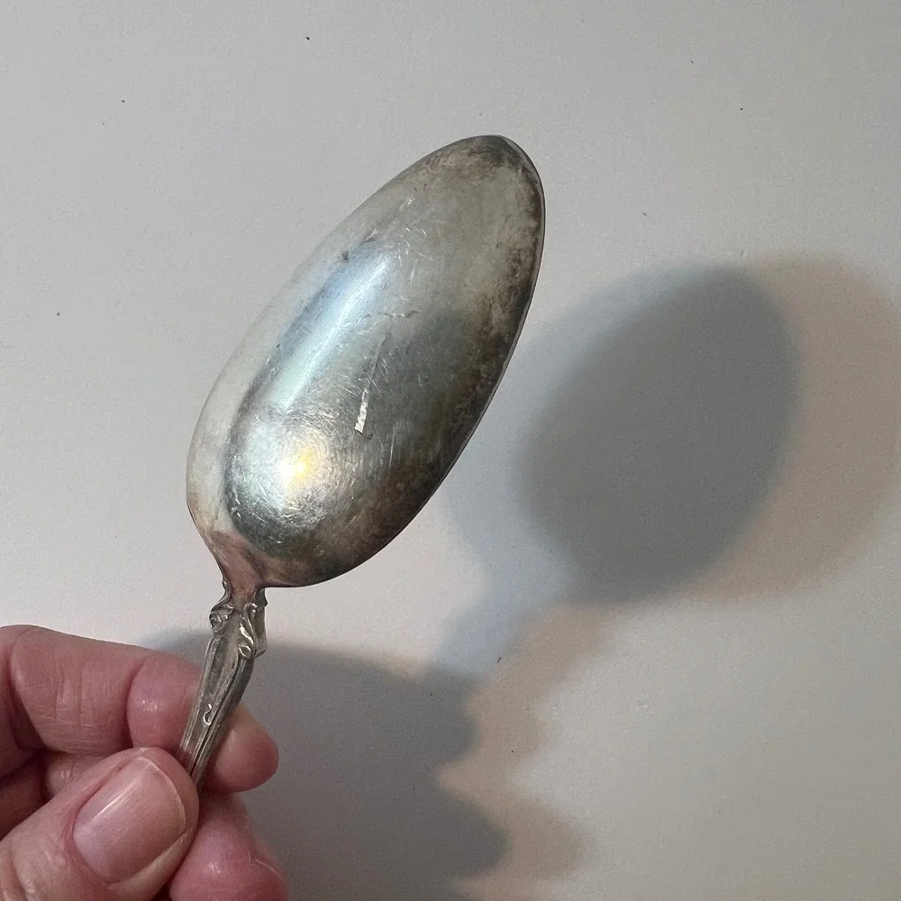 1847 Rogers‎ Bros Vintage Grape Pattern A1 Silver Plated Serving Spoon 8.25